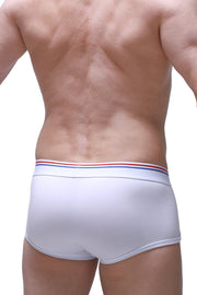Boxer Morrier White