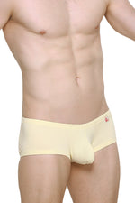 Boxer Bellac Custard