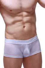 Boxer Reotier Bee White