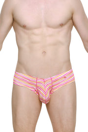 Mini Boxer Sunset Stripes