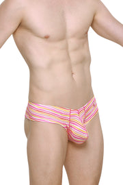 Mini Boxer Sunset Stripes