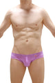 Mini Boxer Joe Purple